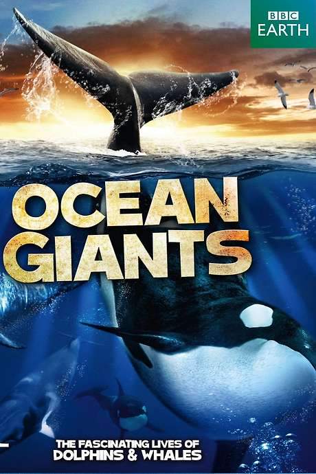 Ocean Giants (2011) movie poster