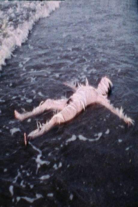 Ocean Bird (Washup) (1974) movie poster