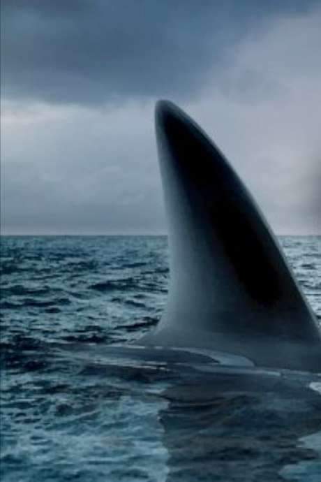Ocean of Fear (2007) movie poster