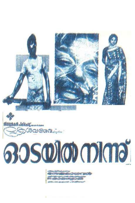Odayil Ninnu (1965) movie poster