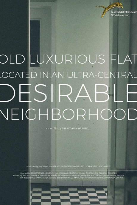 Old, Luxurious Flat Located in an Ultra-Central, Desirable Neighborhood (2016) movie poster