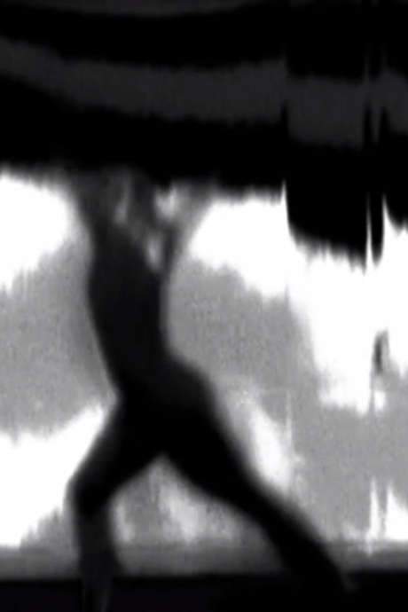 Musicians and dancer perform in real-time while Schwartz plays a computer-keyboard to create special effects on a computer-controlled video-visual communication system.