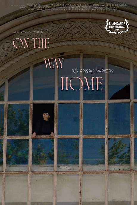 On the Way Home (2024) movie poster