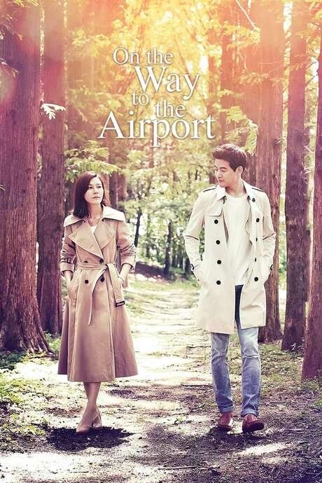 On the Way to the Airport (2016) movie poster