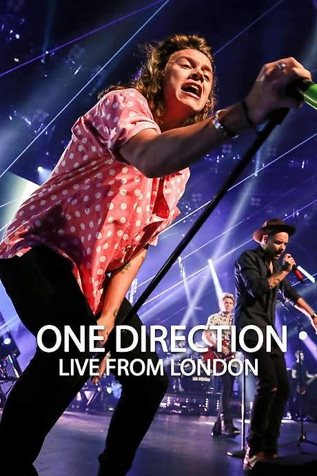 One Direction - Live At Roundhouse London (2015) movie poster