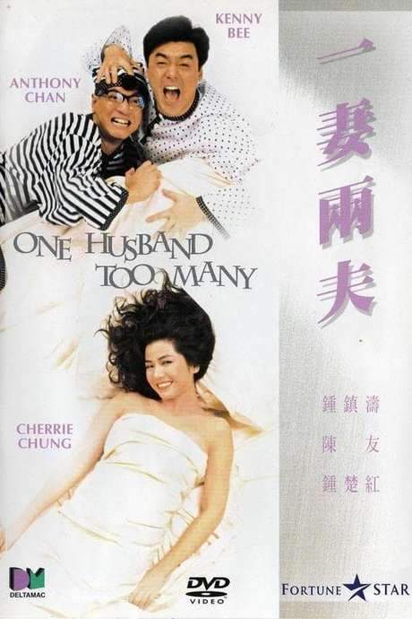 One Husband Too Many (1988) movie poster