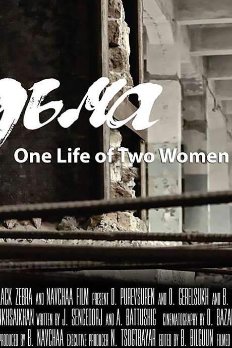One Life of Two Women (2015) movie poster