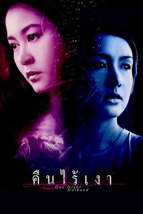 One Night Husband (2003) movie poster