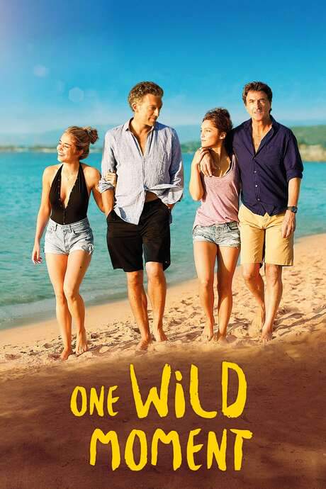 One Wild Moment (2015) movie poster