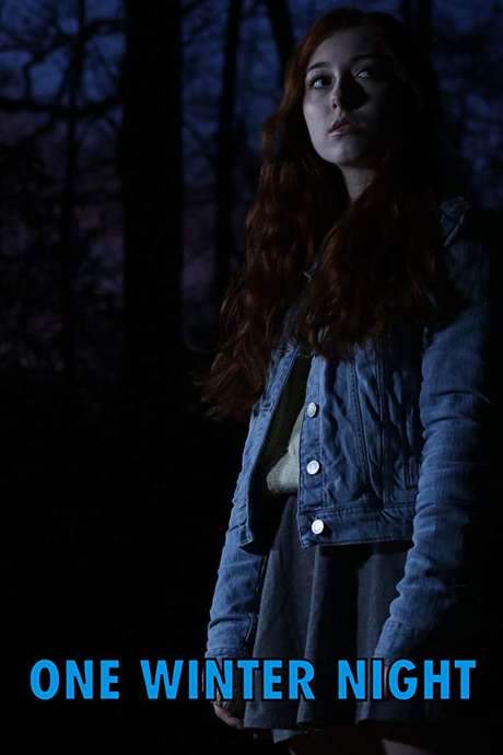 One Winter Night (2019) movie poster