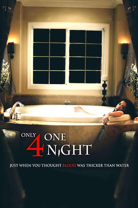 Only For One Night (2016) movie poster