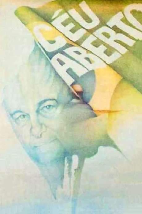 Open Skies (1985) movie poster