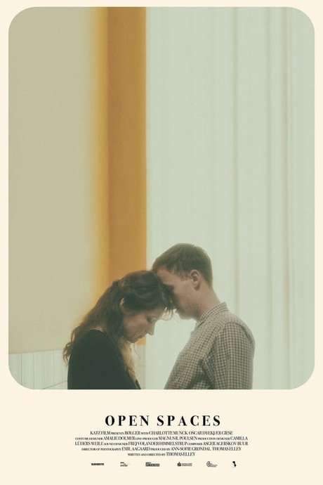 Open Spaces (2018) movie poster
