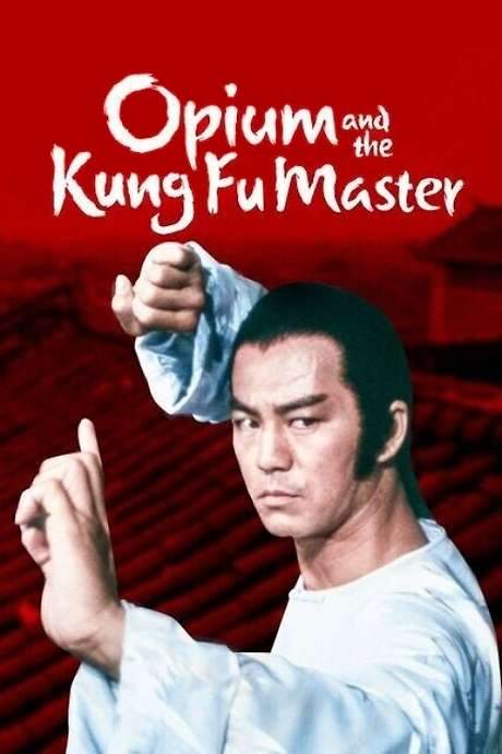 Opium and the Kung Fu Master (1984) movie poster