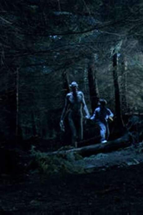 Ordan’s Forest (2005) movie poster