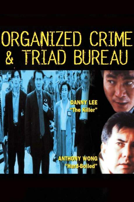 Organized Crime & Triad Bureau (1994) movie poster
