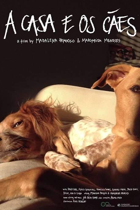 Our Home with the Dogs (2019) movie poster