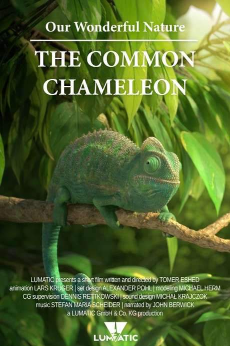 Our Wonderful Nature - The Common Chameleon (2016) movie poster