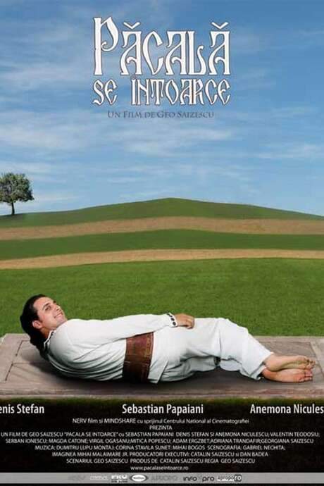 Păcală se întoarce (2006) movie poster