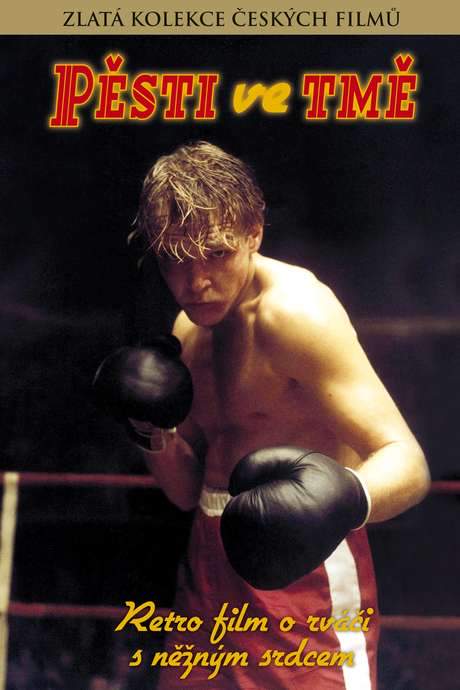 Pěsti ve tmě (1987) movie poster