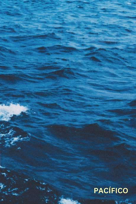Tell Me How Deep Is The Ocean The unfolding of daily life, a week after the incident.