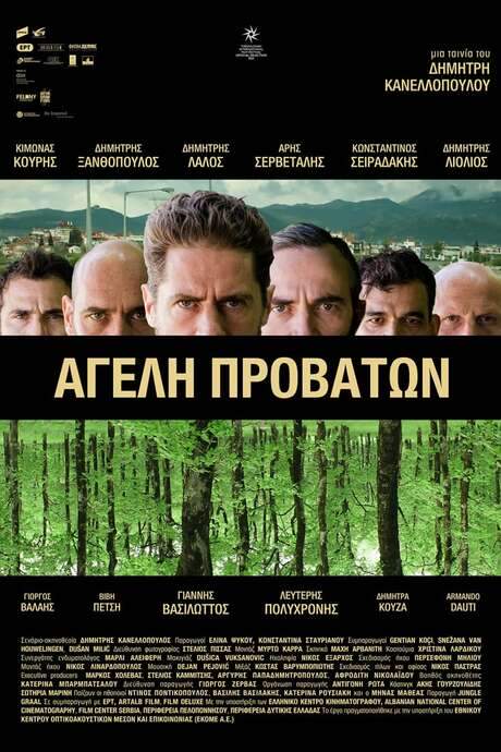 Pack of Sheep (2021) movie poster