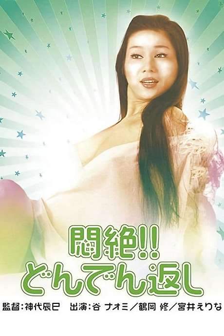 Painful Bliss: Final Twist (1977) movie poster