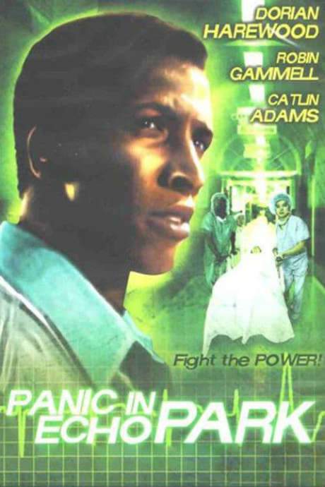 Panic in Echo Park (1977) movie poster