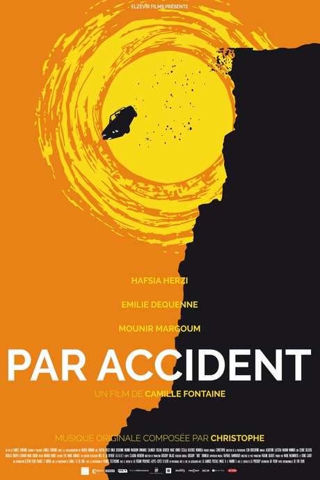 Par accident (2015) movie poster