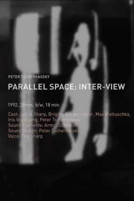 Parallel Space: Inter-View (1992) movie poster