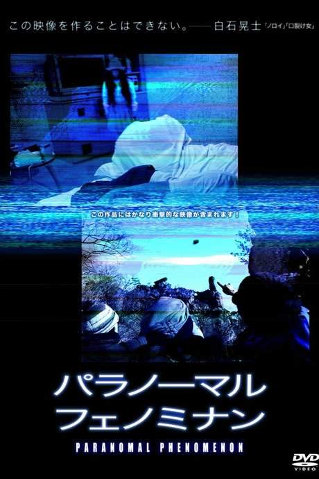 Paranormal Phenomenon (2010) movie poster