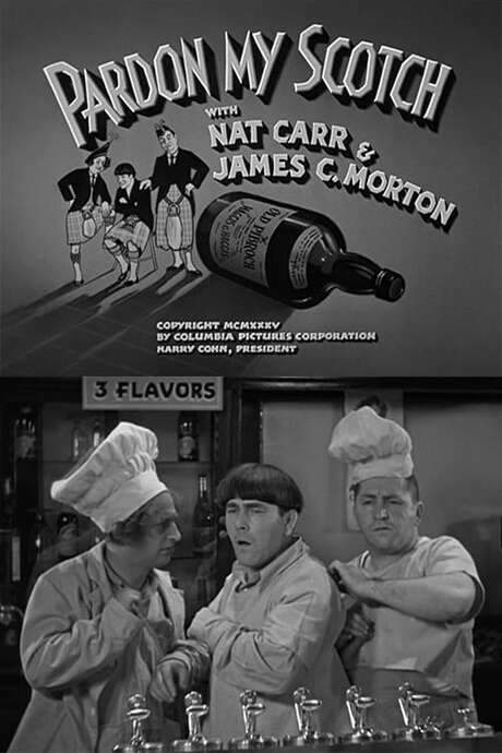 Pardon My Scotch (1935) movie poster
