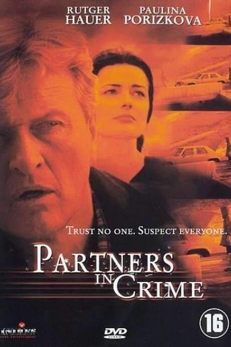 Partners in Crime (2000) movie poster