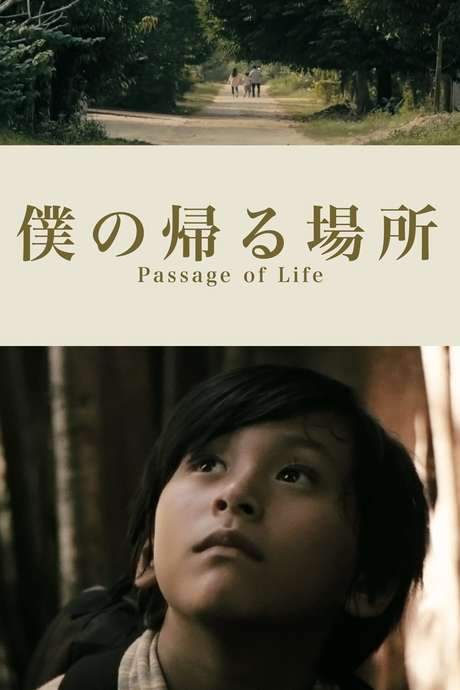 Passage of Life (2017) movie poster