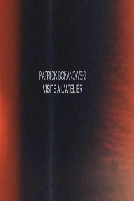 Patrick Bokanowski : visite à l’atelier (2017) movie poster