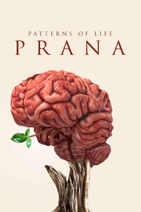 Patterns of life: Prana (2021) movie poster