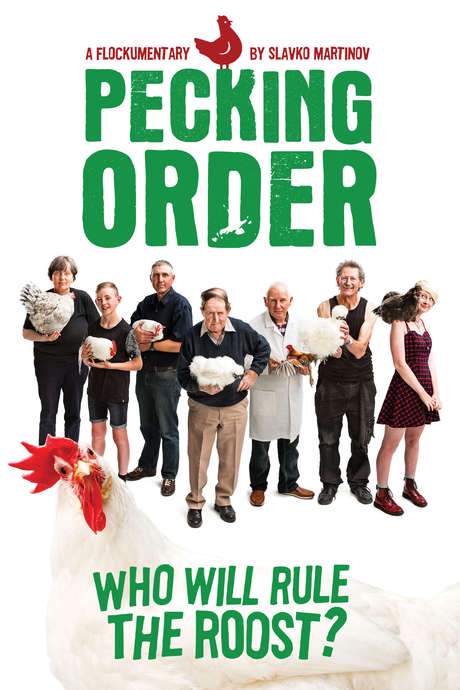 Pecking Order (2017) movie poster