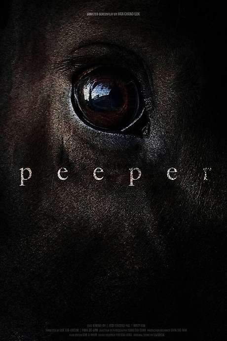 A self-proclaimed fan unexpectedly appears before a filmmaker known for his unsettling movies. The fan proposes to provide inspiration, leading the director down a disturbing path involving a young girl and a dilapidated stable. The encounter quickly spirals into a complex and unsettling narrative, blurring the lines between reality and obsession.