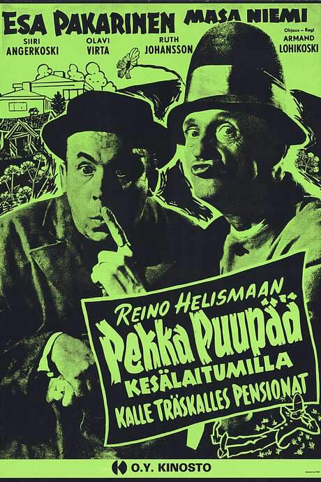Pekka Puupää kesälaitumilla (1953) movie poster