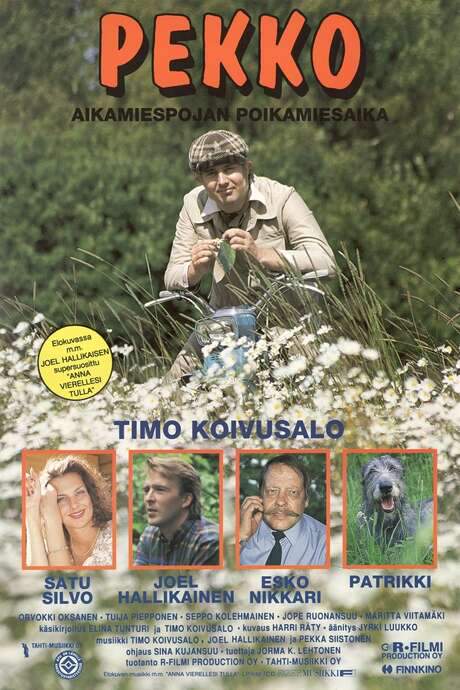Pekko aikamiespojan poikamiesaika (1993) movie poster