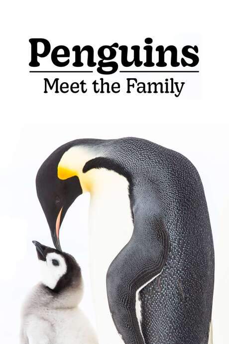 Penguins: Meet the Family (2020) movie poster