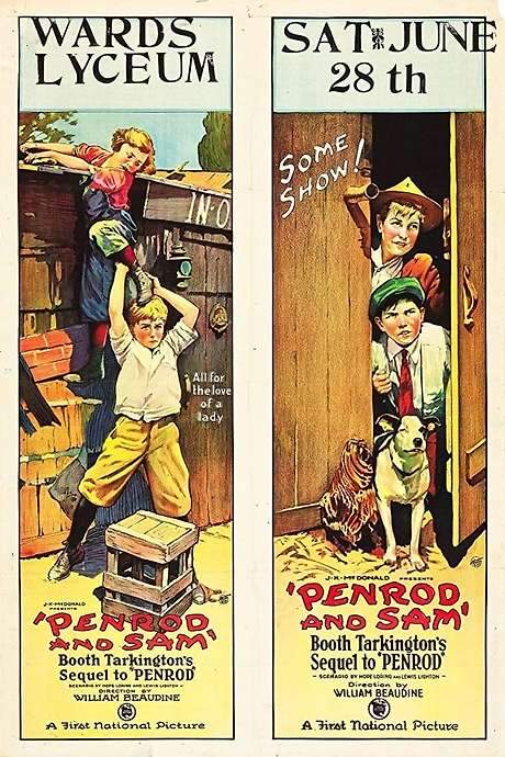 Penrod and Sam (1923) movie poster