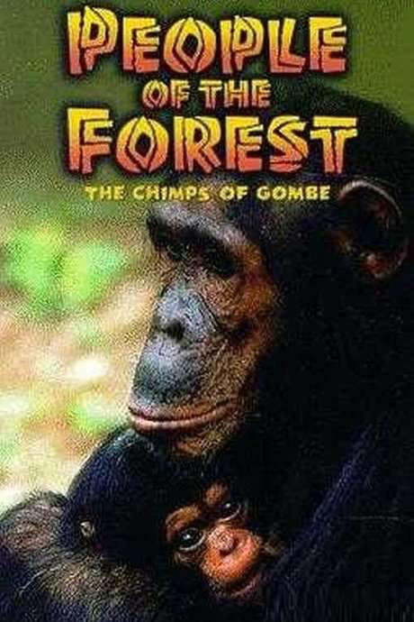 People of the Forest: The Chimps of Gombe (1988) movie poster