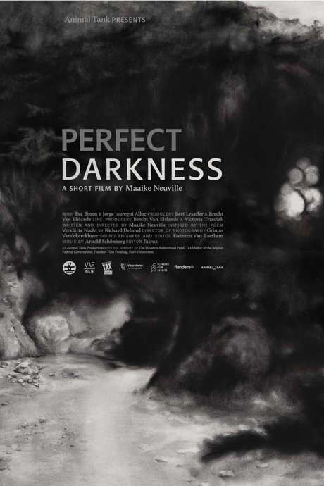 Perfect Darkness (2016) movie poster