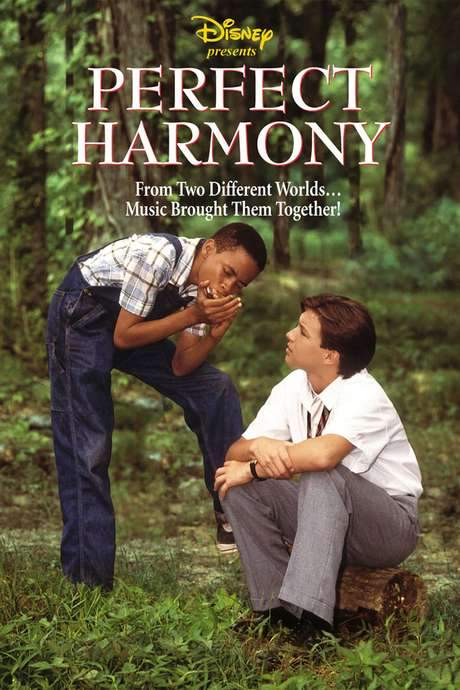 Perfect Harmony (1991) movie poster