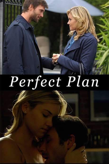 Perfect Plan (2010) movie poster