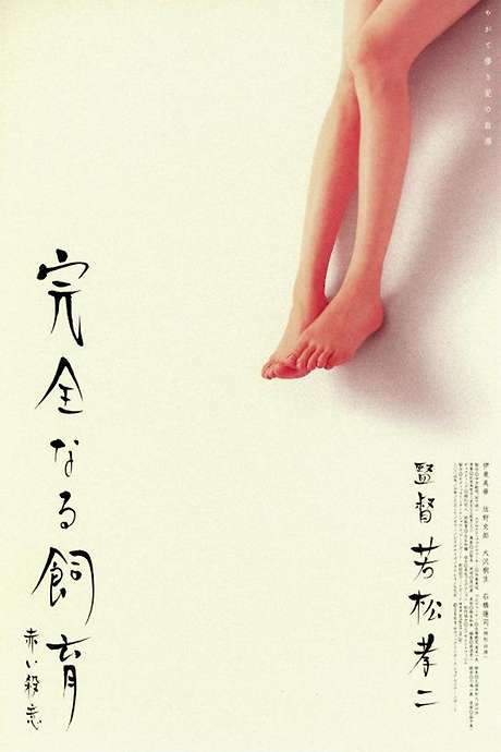 Perfect Education 6 (2004) movie poster