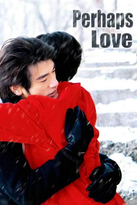 Perhaps Love (2005) movie poster
