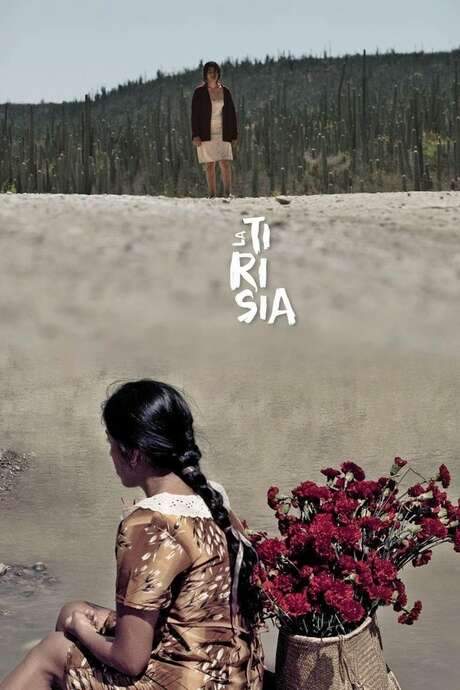 Perpetual Sadness (2014) movie poster
