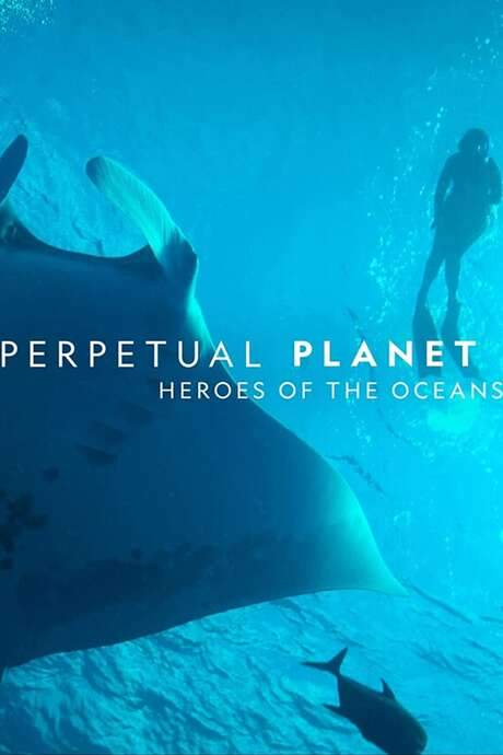 Perpetual Planet: Heroes of the Oceans (2021) movie poster